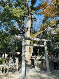 伊弉諾神宮