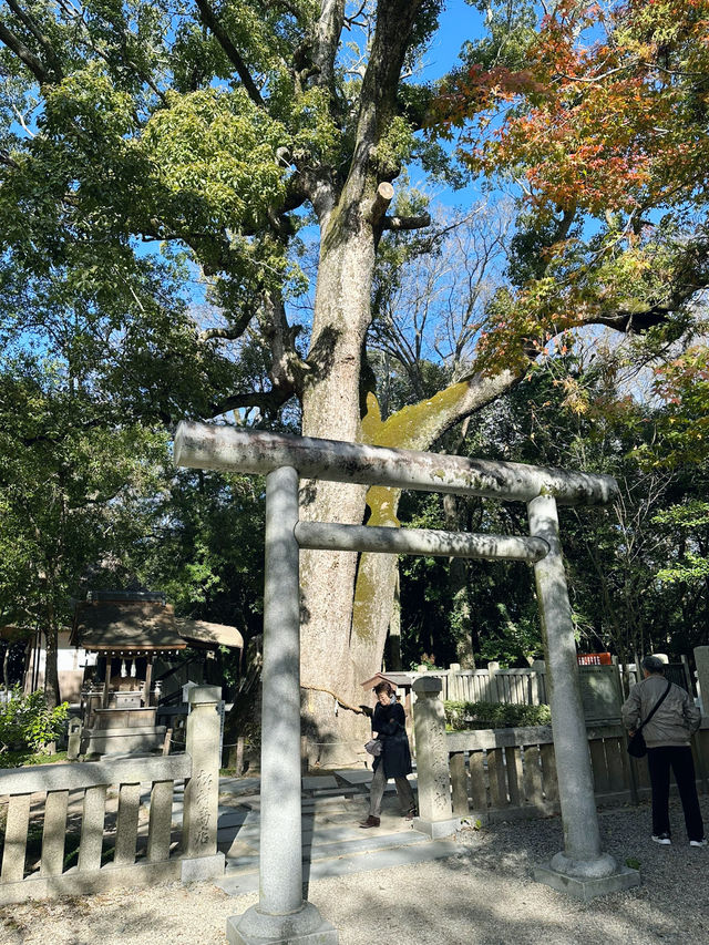 伊弉諾神宮