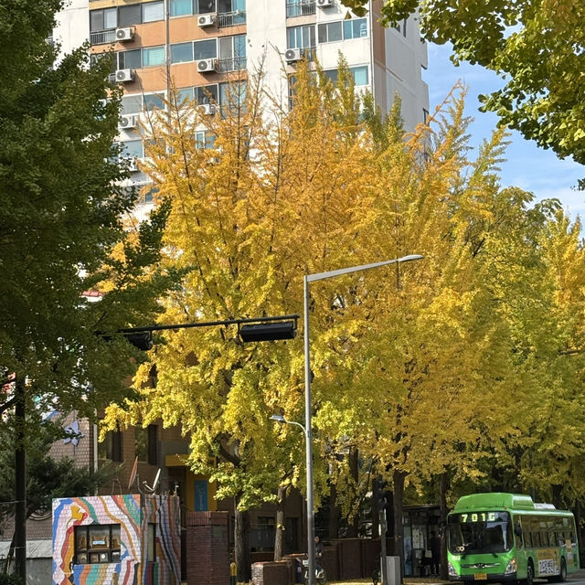 Seoul autumn