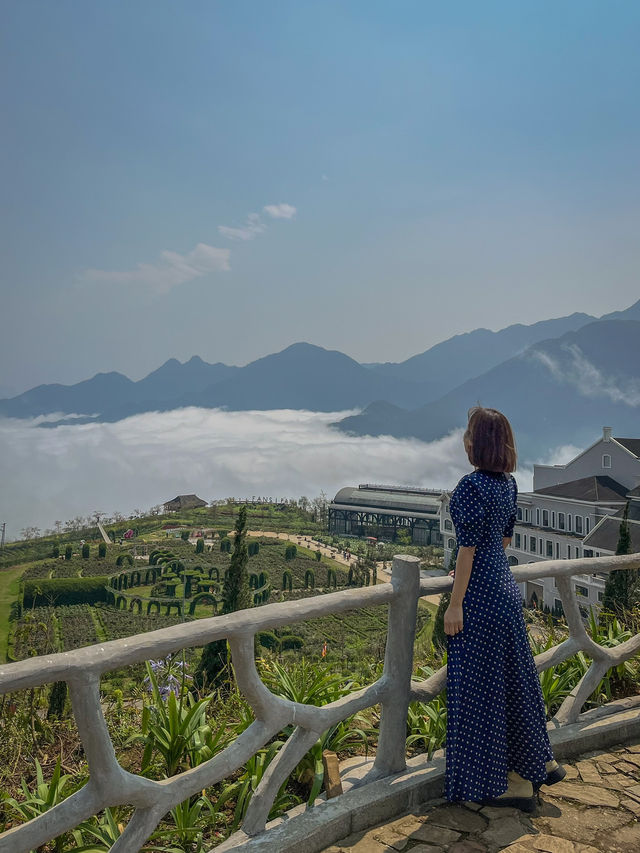 🇻🇳3대가 덕을 쌓아야 맑은 판시판의 정상을 볼 수 있어요!🇻🇳