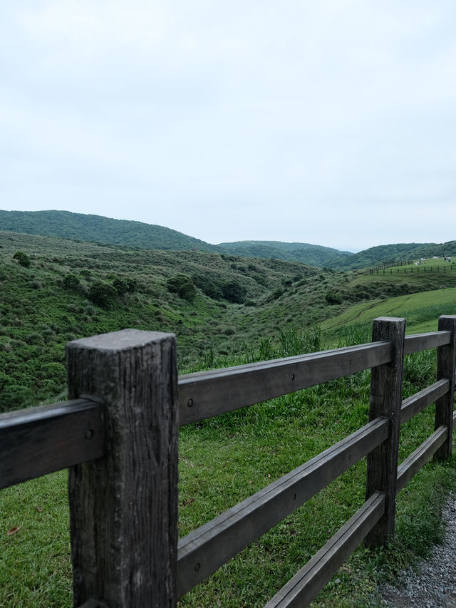 台灣旅遊·陽明山半日遊