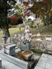 【奈良　興福寺】
