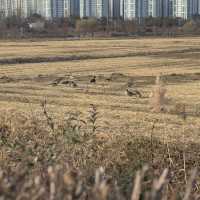 김포 가볼만한곳 DMZ 평화의길 4코스 3코스