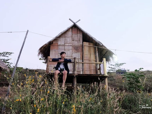 กลางคืนเคียงดาว ยามเช้าเคียงหมอก ที่ม่อนเคียงดาว