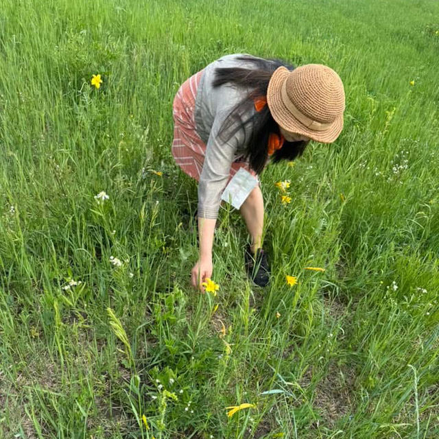 我在呼倫貝爾草原望北京