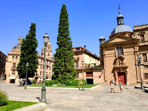 University of Salamanca Tickets [2025] Promos, Prices, Reviews