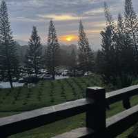 Breathe in the Beauty of Taman Saujana Hijau Putrajaya 