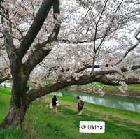 Solo Trip ไปเองไม่ง้อทัวร์ : 4 Days @ Kyushu