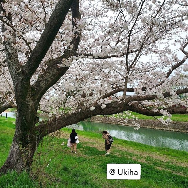 Solo Trip ไปเองไม่ง้อทัวร์ : 4 Days @ Kyushu