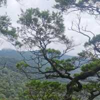Hike to the top of Mount Ophir aka Gunung Ledang