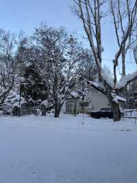 삿포로의 설경 사진을 감상할 수 있는 탁신관❄️💙