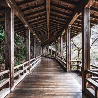 【京都】美しい臥龍廊🐉