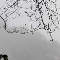 หนาวนี้…ที่เมืองเฟือง…เมืองฟิน🏡🏔🇱🇦