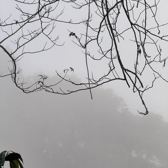 หนาวนี้…ที่เมืองเฟือง…เมืองฟิน🏡🏔🇱🇦