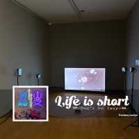 抽象藝術特色展覽🎭