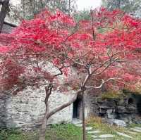 秋日的香山：风景如画，红叶如诗
