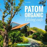 ปฐม ออร์แกนิก ลิฟวิ่ง (Patom Organic Living Cafe)