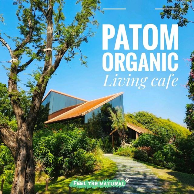 ปฐม ออร์แกนิก ลิฟวิ่ง (Patom Organic Living Cafe)