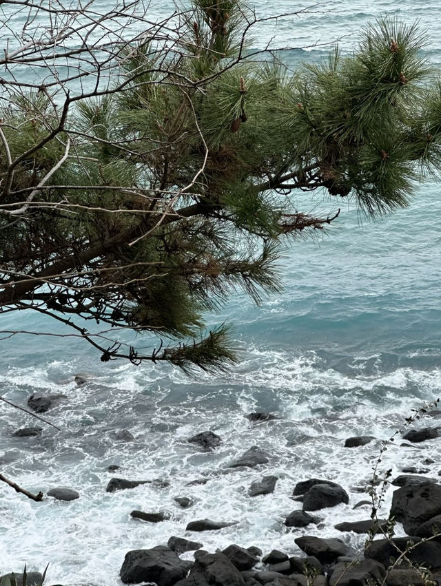 A Luxurious Weekend Getaway at Parnas Hotel Jeju 