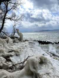 【福島×冬の旅】自然が作る氷の芸術  「しぶき氷」