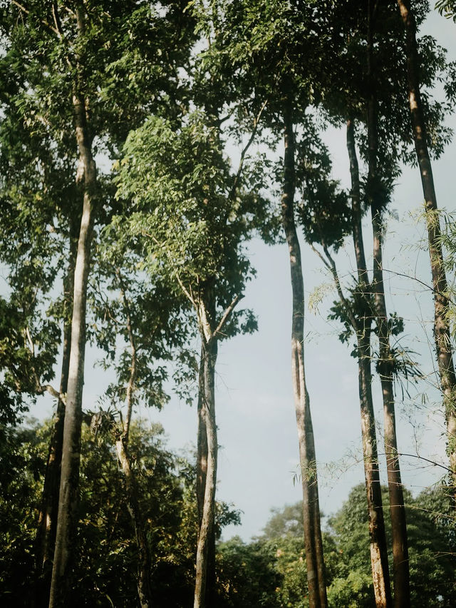 Wilderness Wonders at Draco Nature Camp