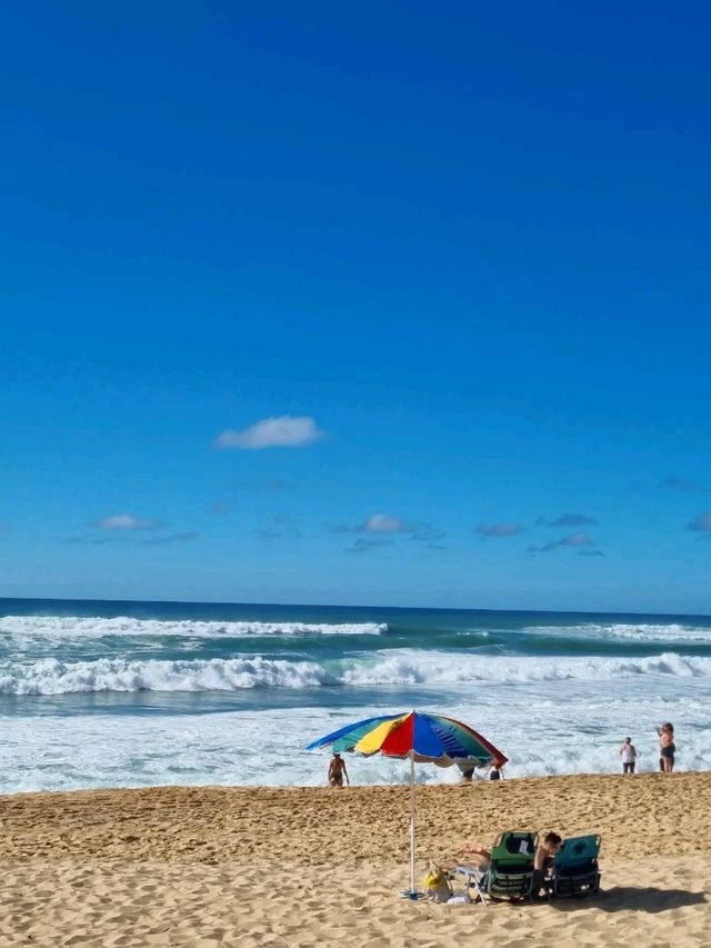 대표적인 여행지 하와이🌴