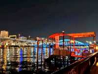Charming Evenings by the Sumida River