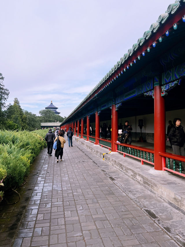 The Temple of Heaven Park in fall🍁