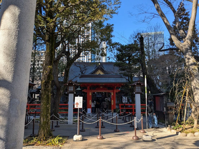 出世の階段で超有名👀 【愛宕神社】