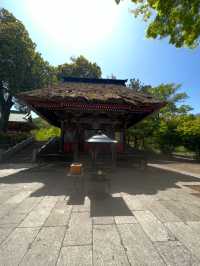 Shorinzan Daruma-ji วัดแห่งดารุมะ 🎏