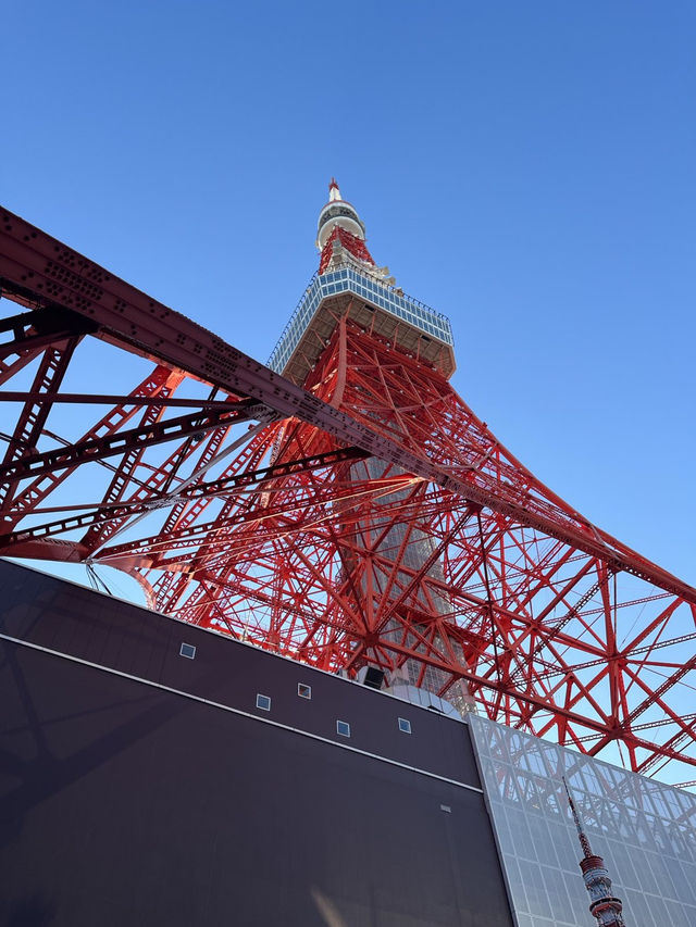 🇯🇵 東京鐵塔這樣玩🗼！