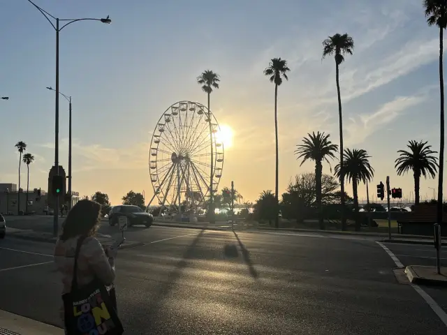 🇦🇺 澳洲墨爾本的最美海岸 還有企鵝群🐧