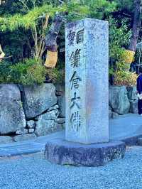 🏯 鎌倉大仏（高徳院）攻略ガイド – 見どころ＆ベストな楽しみ方
