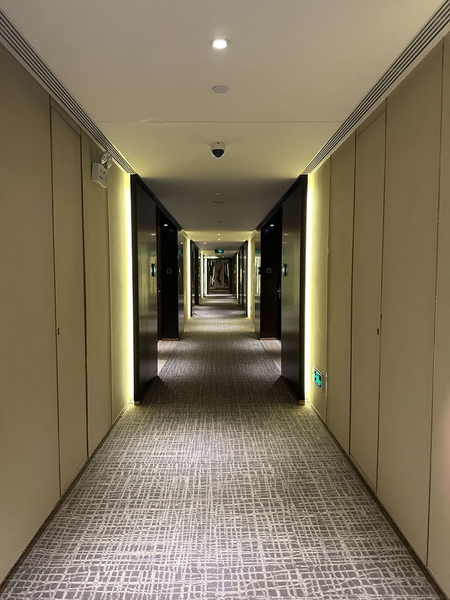 🌟🏨深圳大中華希爾頓酒店🏨五星級奢華🌟🏨