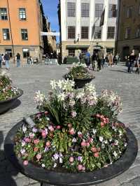 Gamla Stan: My Favorite Itinerary Stop in Stockholm