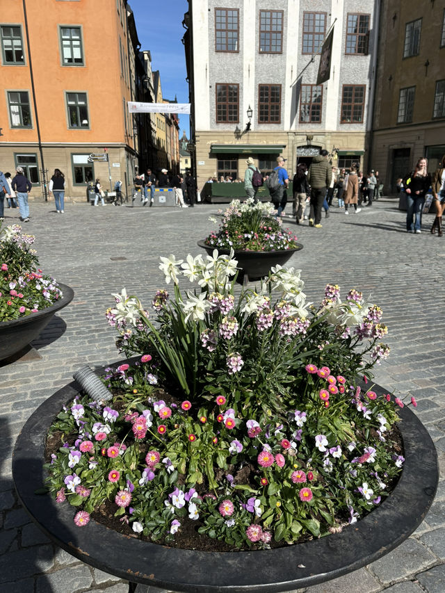 Gamla Stan: My Favorite Itinerary Stop in Stockholm