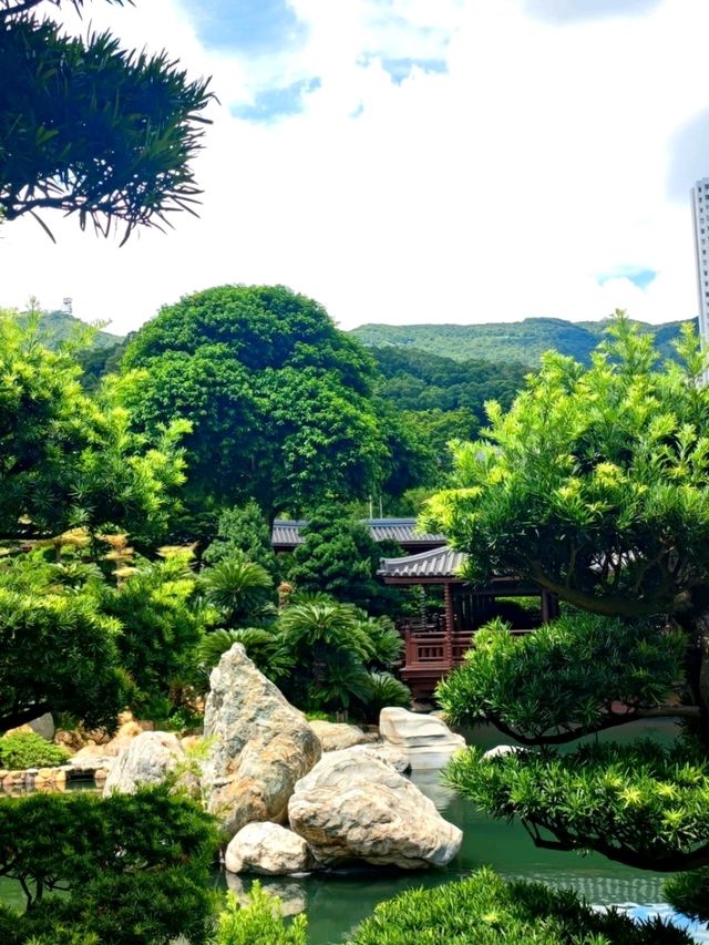 Nan Lian Garden: A Zen Escape in Hong Kong 🌿