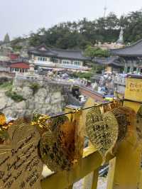 釜山｜韓國三大觀音勝地之一「海東龍宮寺」 傳說觀音入夢實現心願