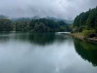 แชร์วิธีเดินทางไปน้ำตกชิราอิโตะและทะเลสาบทานูกิ