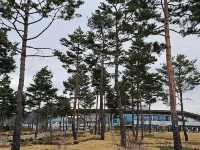 대한민국 충청남도 국립 세종 수목원 입니다.