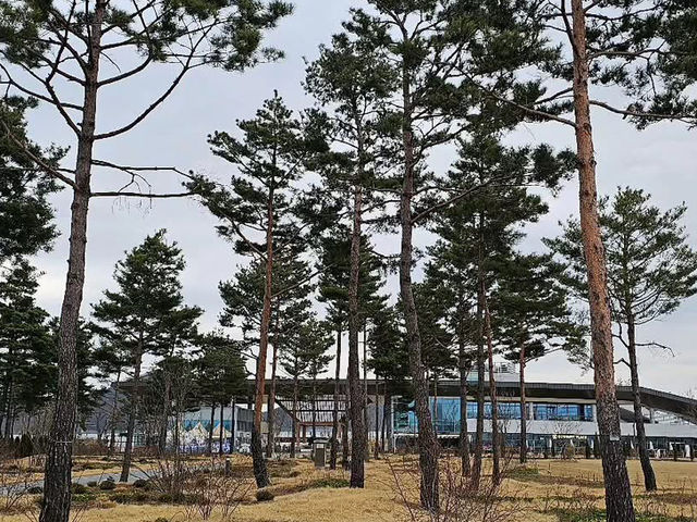 대한민국 충청남도 국립 세종 수목원 입니다.
