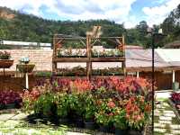 Frost-Kissed Floral Haven @Betong