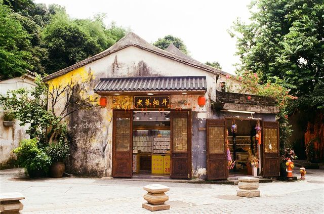 One Day in Shenzhen  — The Gankeng Hakka Ancient Townlet