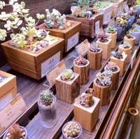 走進 Wooderful life療癒系木作世界