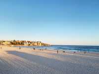 Bondi Beach: Sunset, Palm Trees & Coastal Charm