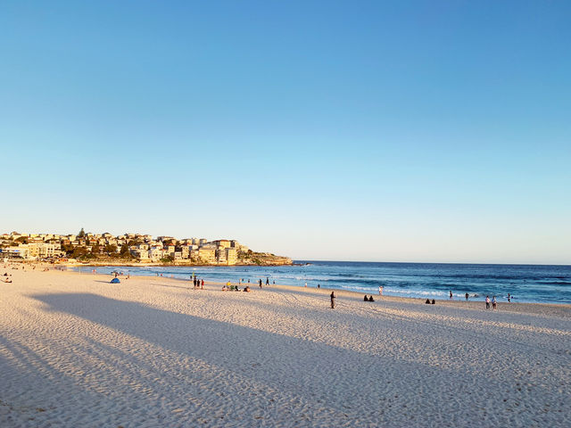 Bondi Beach: Sunset, Palm Trees & Coastal Charm