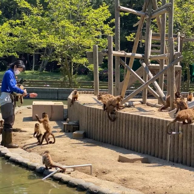 福岡好去處