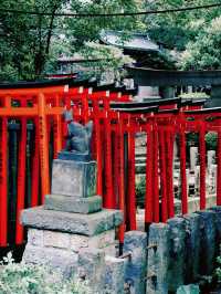景點推薦：根津神社——東京近郊的千本鳥居與百年古韻