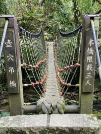 台北縱走第七段-櫻花山林茶鄉漫遊路線