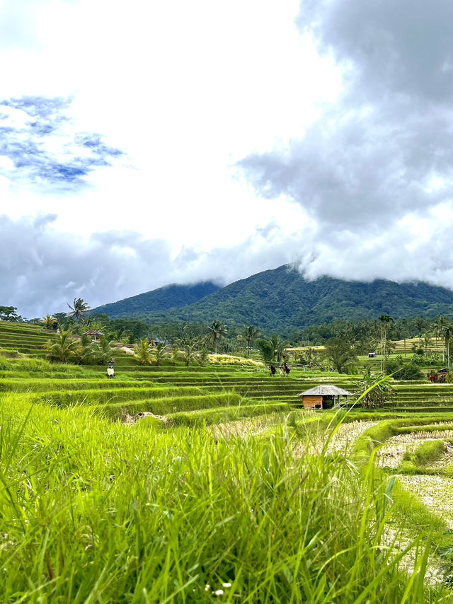 Explore UNESCO Heritage Sites In Bali 🌾✨